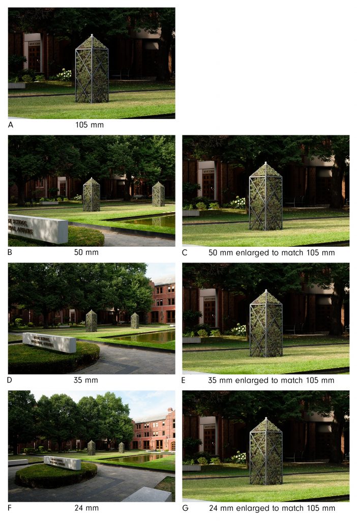 Perspective and Camera Position Exposure Therapy