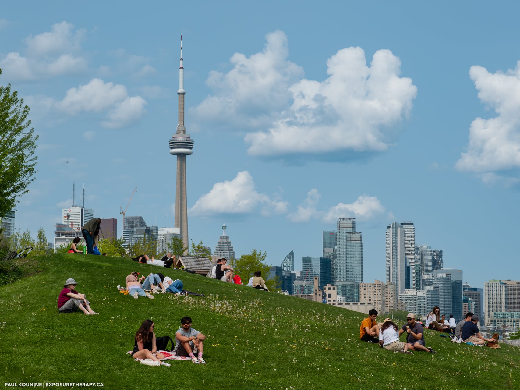 People relaxing on grass in Trillium park in Toronto on Sunny day with CN tower and downtown in background.